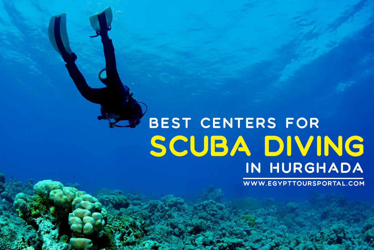 Hurghada Diving Sites & Centers 2024 Egypt Tours Portal