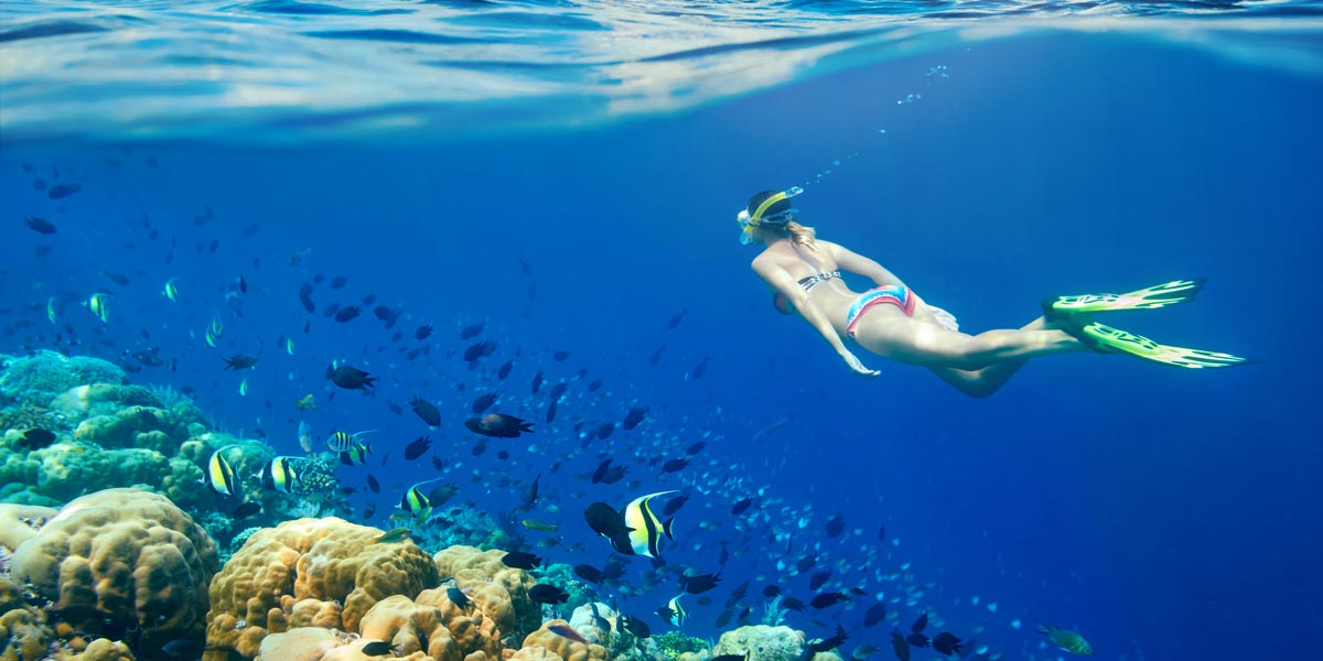 Snorkeling Trip in Hurghada Egypt Tours Portal (UK)