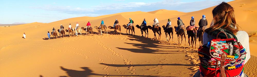 Desert Safari in Egypt - Egypt Tours Portal