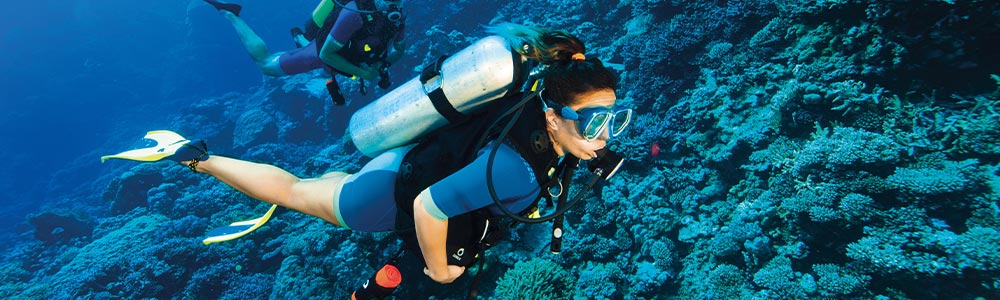 Diving Tour in Egypt - Egypt Tours Portal
