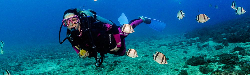 Diving Trip in Egypt - Egypt Tours Portal