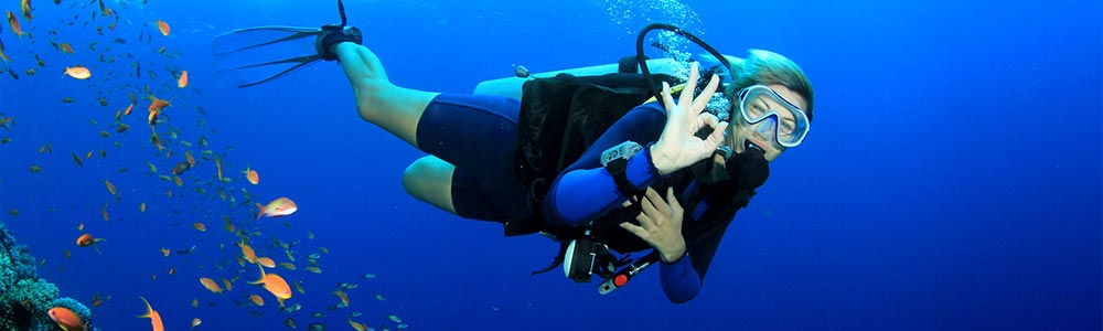 Diving in Hurghada - Egypt Tours Portal