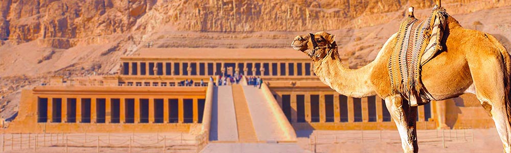 Hathsepsut Temple in Luxor - Egypt Tours Portal