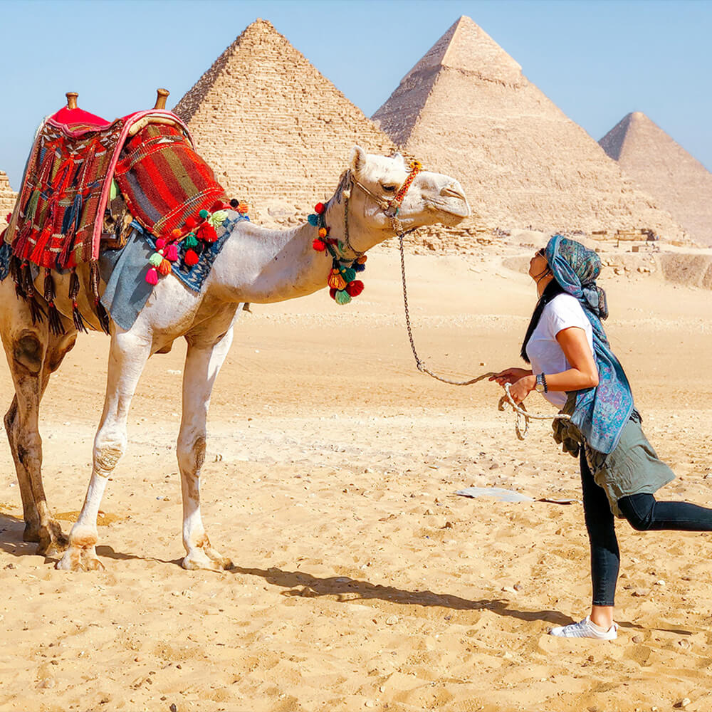 Animals Travel Alerts Safety Guidelines - Egypt Tours Portal