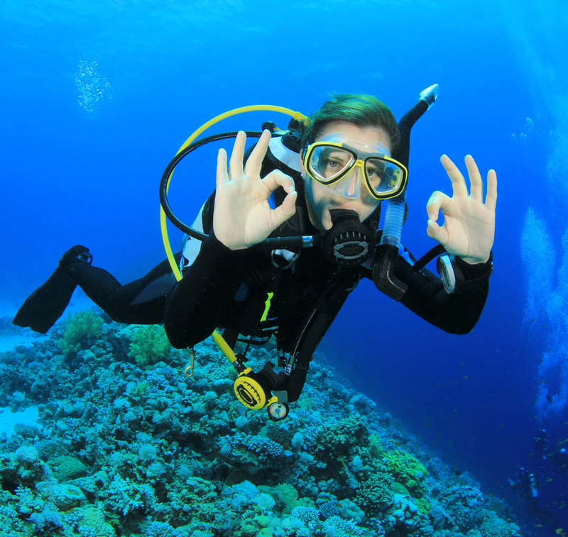 El Gouna Excursions - Egypt Tours Portal