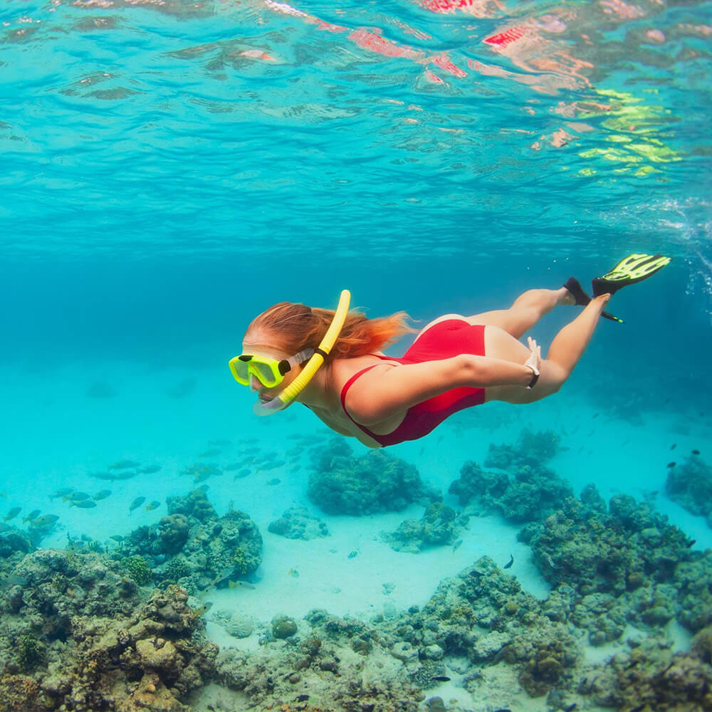 Snorkeling Travel Alerts Safety Guidelines - Egypt Tours Portal