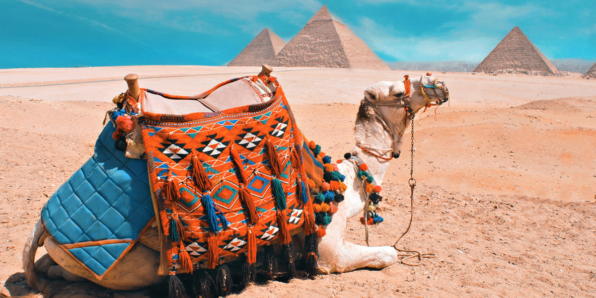 Do's and Don'ts of Egypt - Egypt Tours Portal