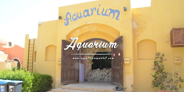 Aquarium - Things to Do in El Gouna - Egypt Tours Portal