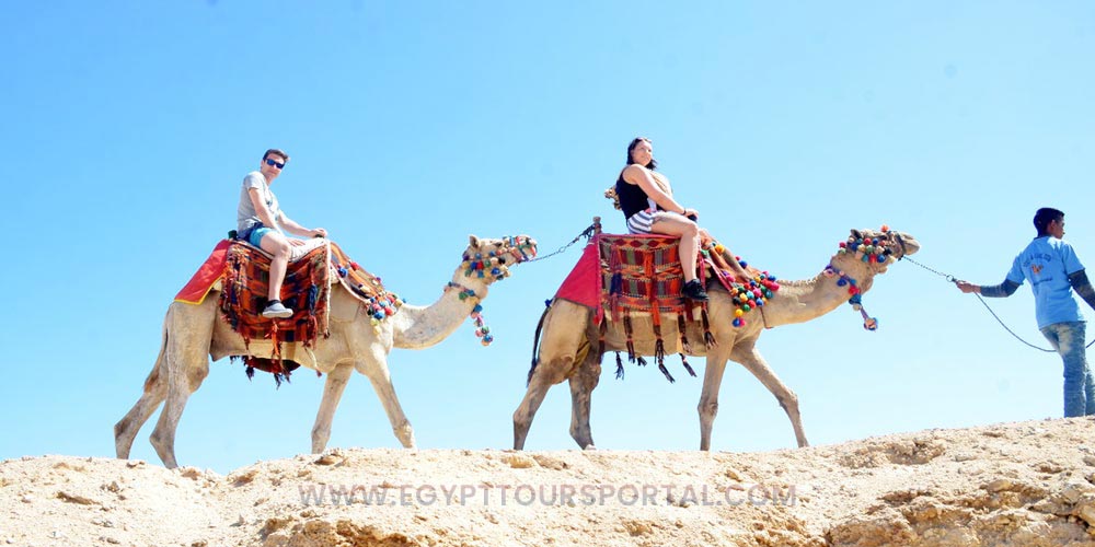 Camels Ride - Things to Do in Safaga - Egypt Tours Portal