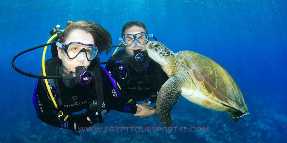 Diving - Things to Do in Safaga - Egypt Tours Portal