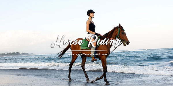 Horse Riding - Things to Do in El Gouna - Egypt Tours Portal