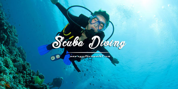 Scuba Diving - Things to Do in El Gouna - Egypt Tours Portal