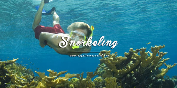 Snorkeling - Things to Do in El Gouna - Egypt Tours Portal