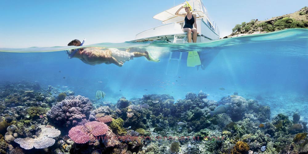 Snorkeling - Things to Do in Safaga - Egypt Tours Portal