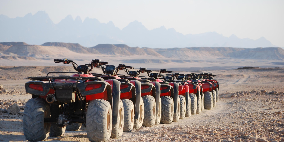 Safari from Marsa Alam - Egypt Tours Portal