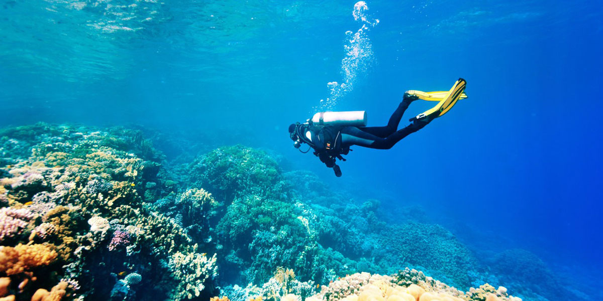 diving excursion in marsa alam - egypt tours portal