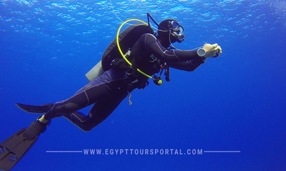 soma bay diving - things to do in soma bay - egypt tours portal