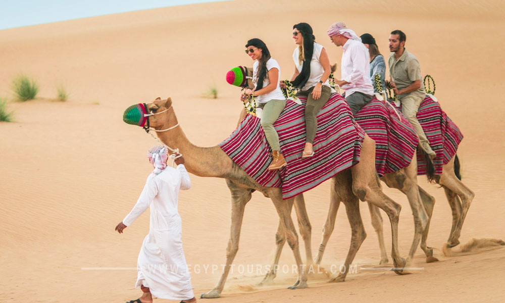 soma bay safari tours - things to do in soma bay - egypt tours portal