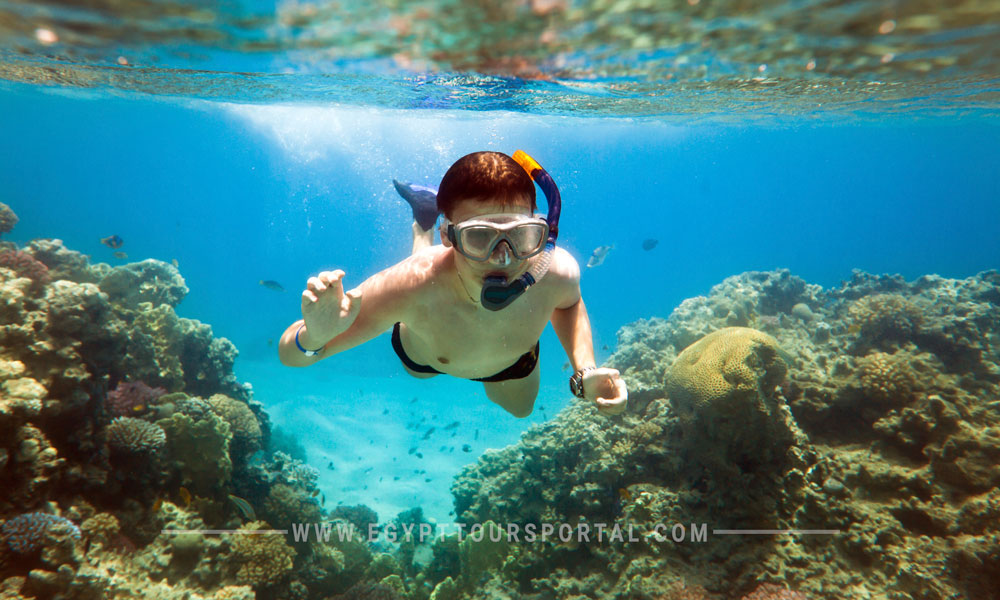 soma bay snorkeling - things to do in soma bay - egypt tours portal