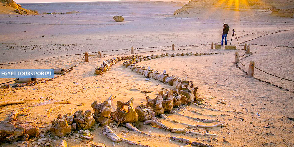 Wadi Al Hitan - UNESCO World Heritage Sites In Egypt - Egypt Tours Portal