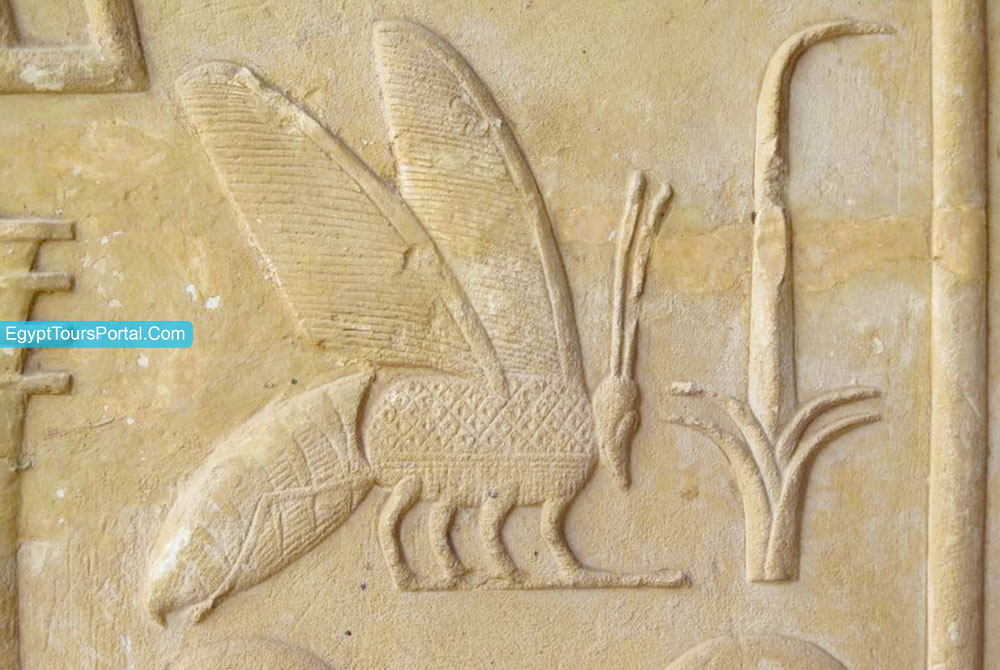 Bee and Reed Symbol - Ancient Egyptian Symbols - Egypt Tours Portal
