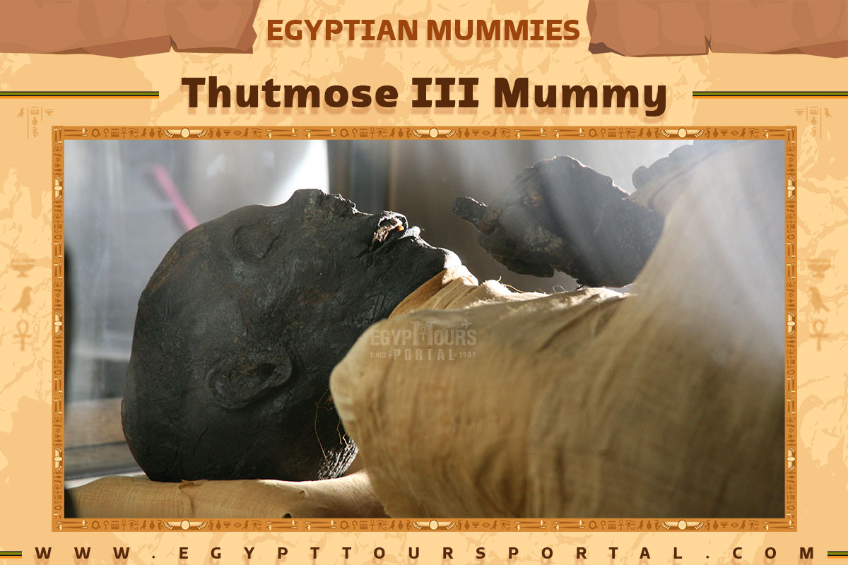 Thutmose III Mummy - Egypt Tours Portal