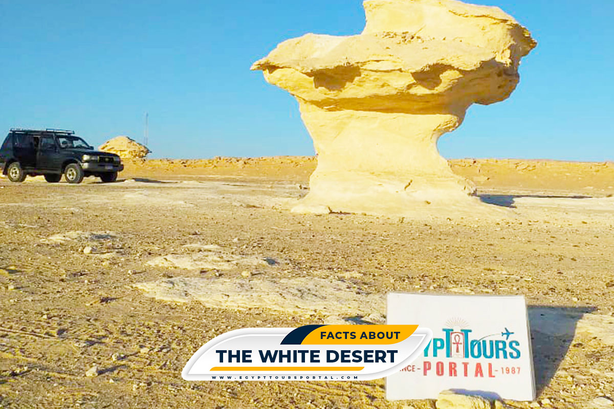 Facts About the White Desert - Egypt Tours Portal