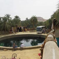 Ain Cleopatra Attraction - Egypt Tours Portal