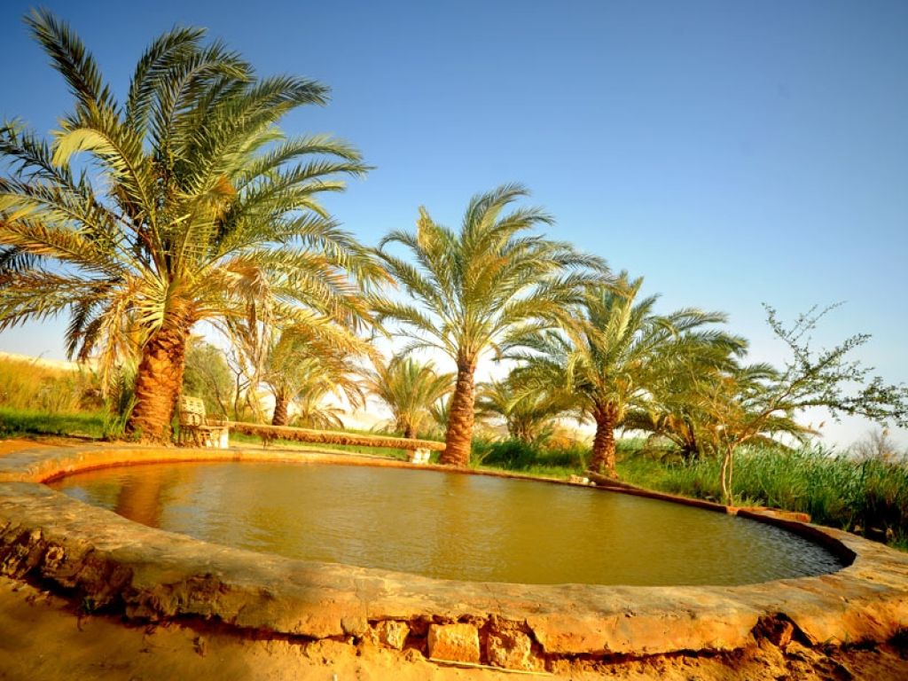 Bahariya Hot Springs Attractions - Egypt Tours Portal