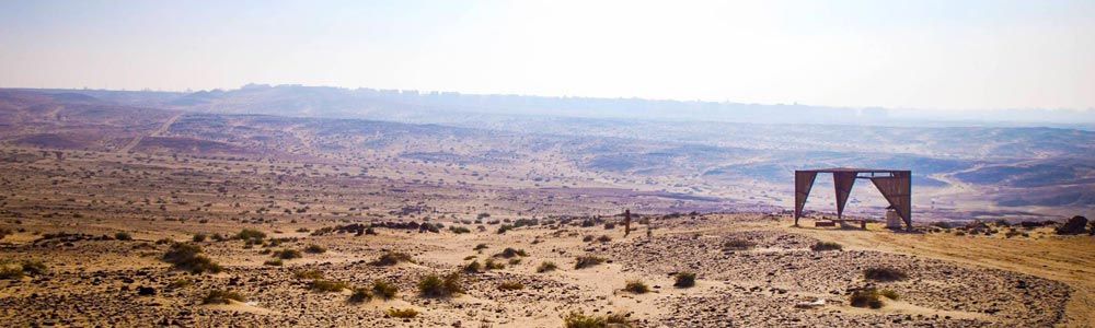 Petrified Forest Itinerary - Egypt Tours Portal