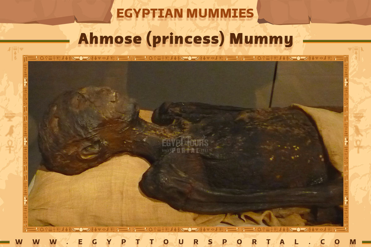 Ahmose (Princess) Mummy - Egypt Tours Portal