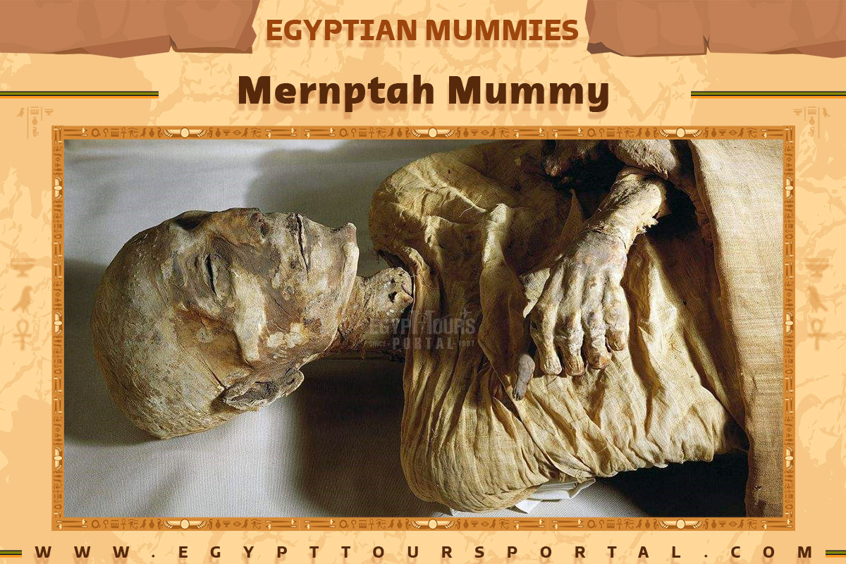 Mernptah Mummy - Egypt Tours Portal