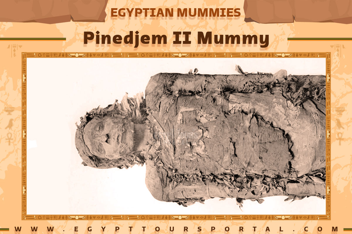 Pinedjem II Mummy - Egypt Tours Portal