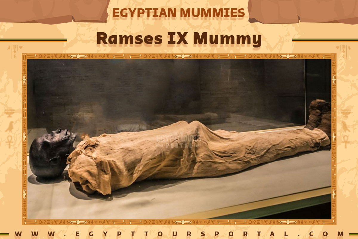 Ramses IX Mummy - Egypt Tours Portal