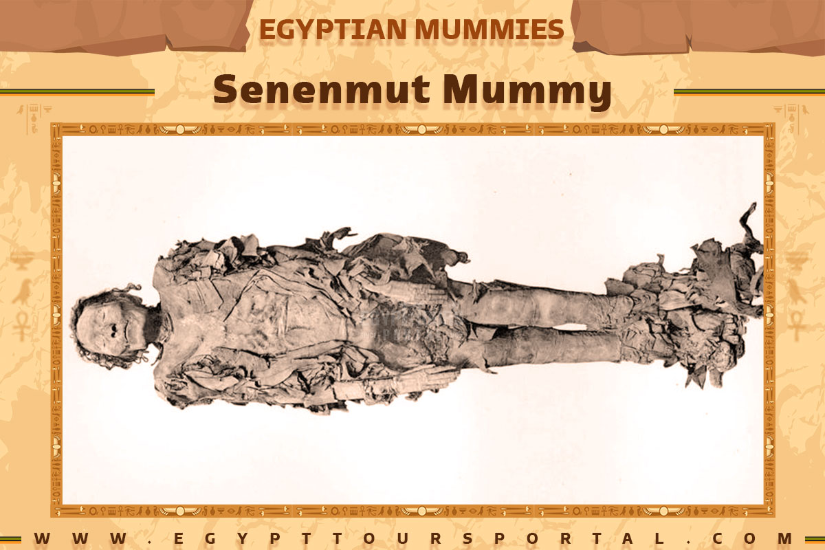 Senenmut Mummy - Egypt Tours Portal