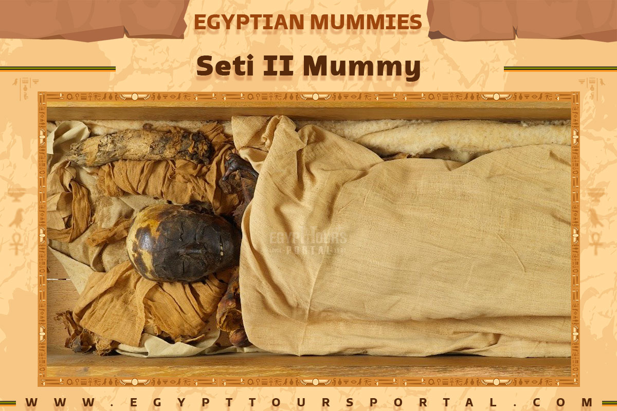 Seti II Mummy - Egypt Tours Portal