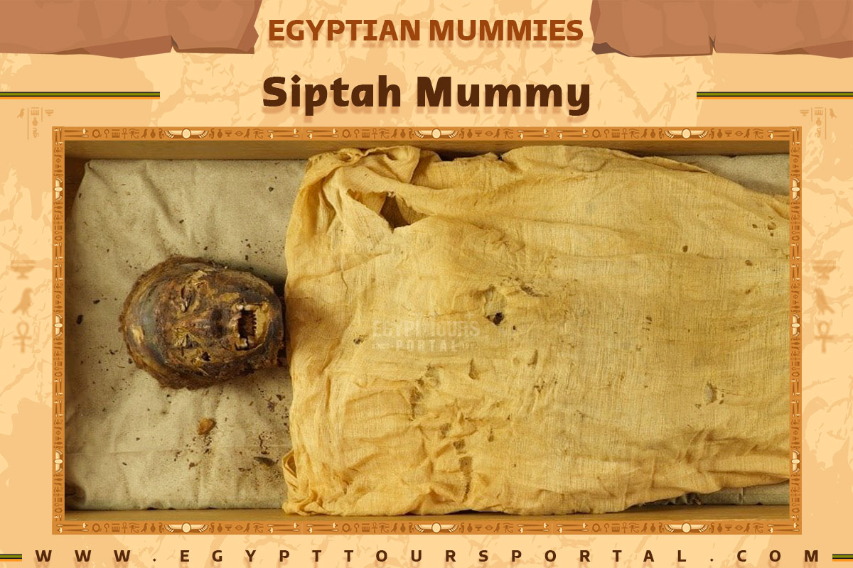 Siptah Mummy - Egypt Tours Portal