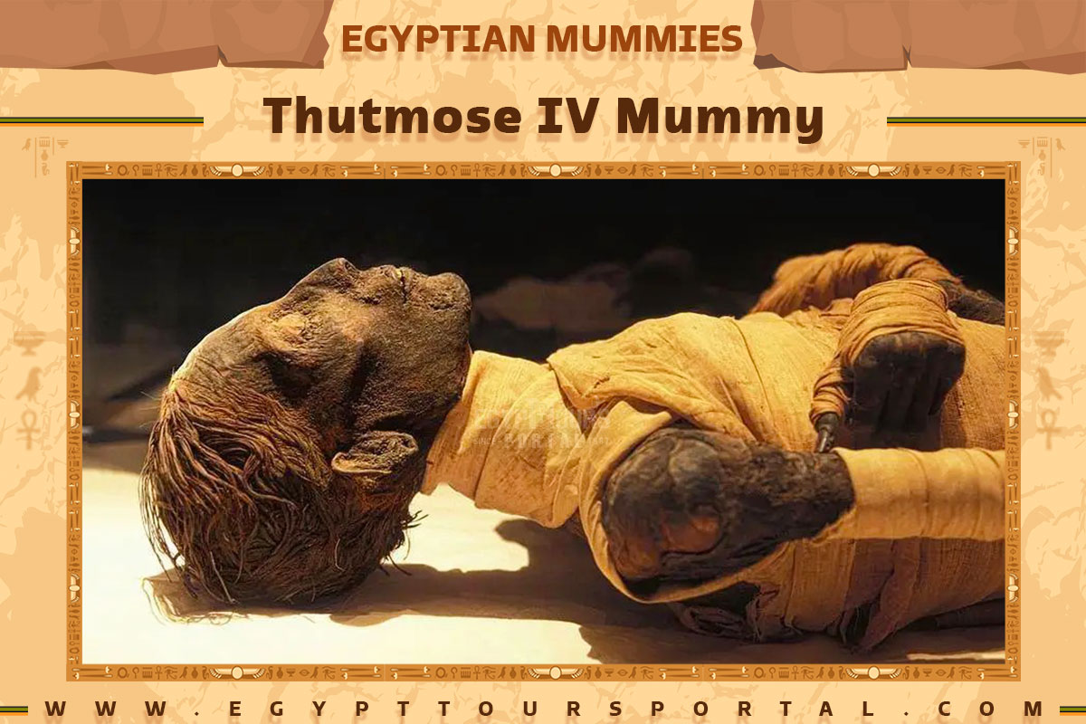Thutmose IV Mummy - Egypt Tours Portal
