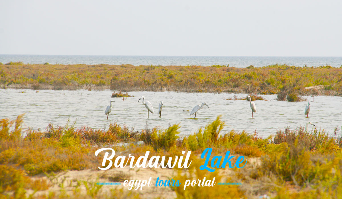 Bardawil Lake - Lakes in Egypt