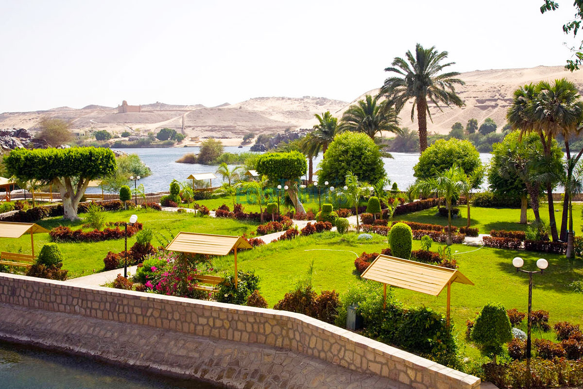 Plants Of Aswan Botanical Gardens - Egypt Tours Portal