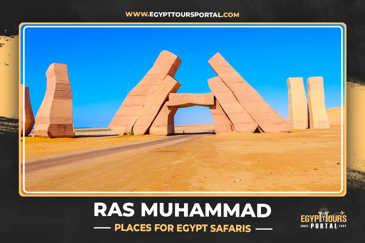 Ras Muhammad - Places for Egypt Safaris - Egypt Tours Portal