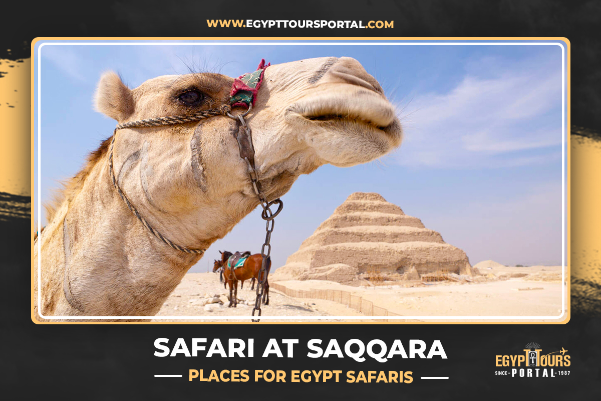 Safari at Saqqara - Places for Egypt Safaris - Egypt Tours Portal