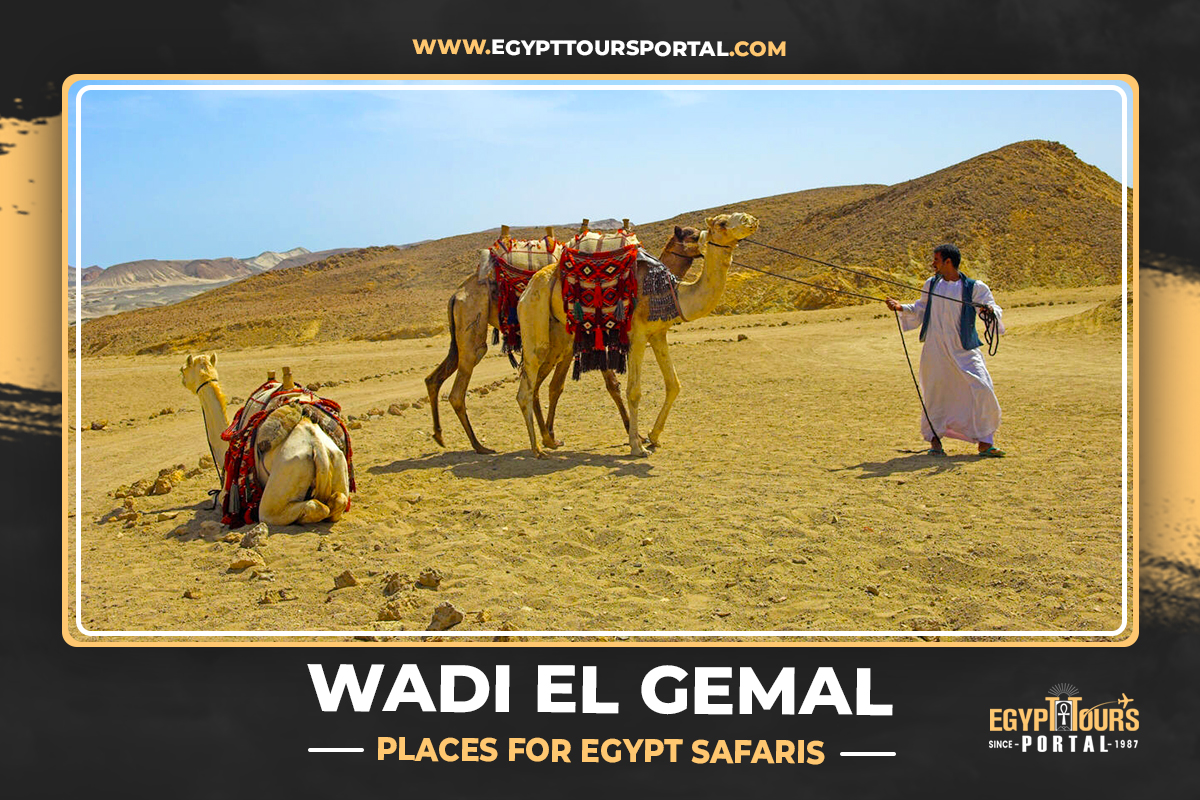 Wadi El Gemal - Places for Egypt Safaris - Egypt Tours Portal