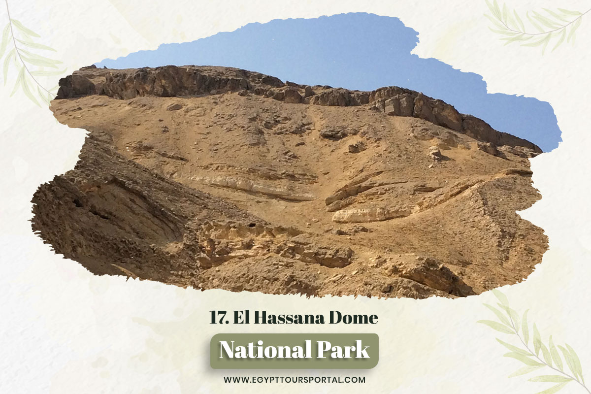 El Hassana Dome - National Parks In Egypt - Egypt Tours Portal