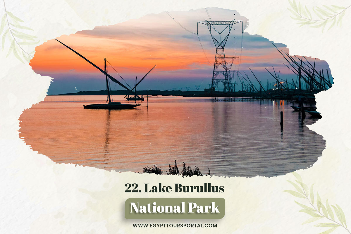 Lake Burullus Protected Area - National Parks In Egypt - Egypt Tours Portal