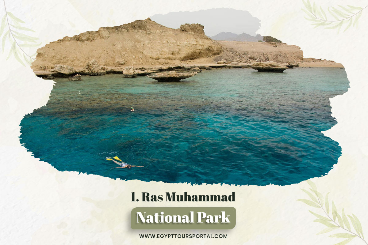 The National Park of Ras Muhammad - National Parks In Egypt - Egypt Tours Portal