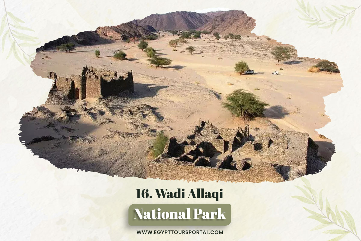 Wadi Allaqi Protectorate - National Parks In Egypt - Egypt Tours Portal