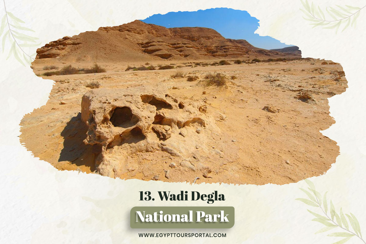 Wadi Degla Protectorate - National Parks In Egypt - Egypt Tours Portal