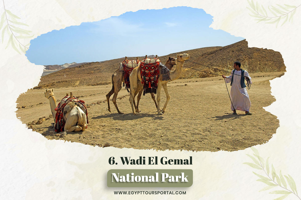 Wadi El-Gemel National Park - National Parks In Egypt - Egypt Tours Portal