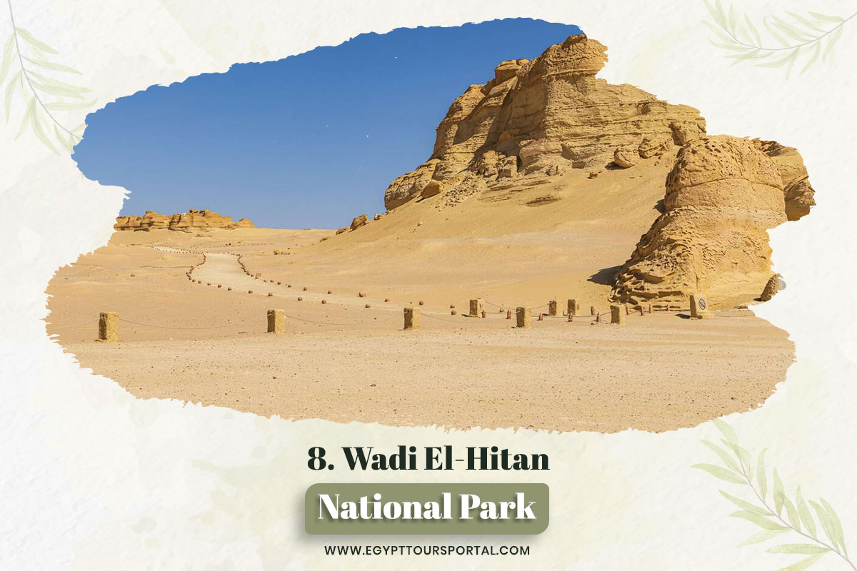 Wadi El-Hitan National Park - National Parks In Egypt - Egypt Tours Portal